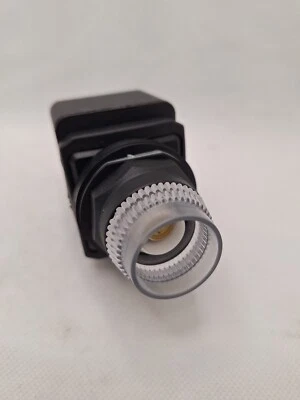 Pulsador 30G377 DAYTON: tamaño de montaje de 30 mm, no metálico, momentáneo Foto 1 de 4