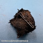 Lodestone Natural Mineral Specimen Bolivia Collectible Iron Oxide Crystal