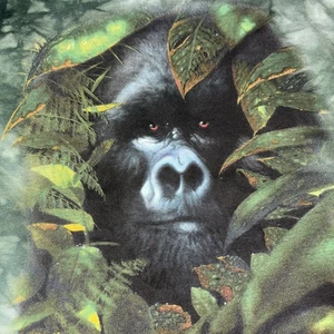Vintage The Mountain Kinder Unisex schwarz Gorilla Dschungel Wildtiere Grafik T-Shirt L - Bild 1 von 7