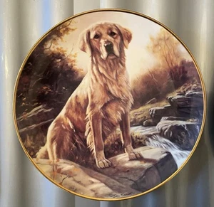 Danbury Mint Collectors Plate GOLDEN MORNING From The Golden Retriever - Picture 1 of 2