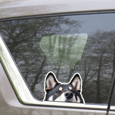 Peeking Black Tan Shiba Inu Car Sticker / Vinyl Waterproof Decal Bumper Window