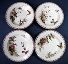 Assiettes Polychrome Service Carmen Papillon en Couleur Faïence de Sarreguemines