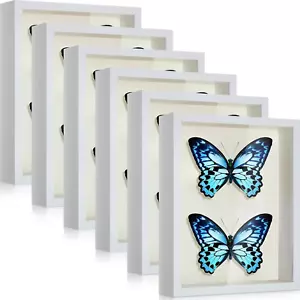 6 Pieces Shadow Box Picture Frame Square Shadow Boxes Display Cases for Sports M - Picture 1 of 12