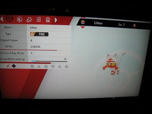 FEMALE LITTEN - Bild 1 von 2