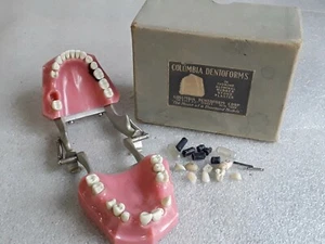 vintage COLUMBIA DENTOFORM CORP. Dental Teeth with Box Articulated jaw. - Picture 1 of 7