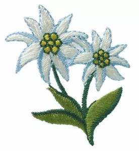 Iron-on motif♥Patch♥ Edelweiss Edelweß 2 flowers ♥Iron-on♥Applique NEW - Picture 1 of 2