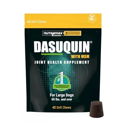 Nutramax Dasuquin Large Dogs Joint Health Soft Chews 42 Count - Image 1 of 4