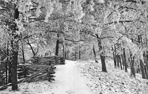 Postal KY: Invierno en Cumberland Mountain, Kentucky, de colección - Imagen 1 de 2