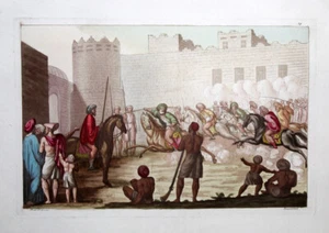 Jemen Aden Sultan Scheich Kavallerie Reiter Araber Pferde Turban Muskete Osmanen - Bild 1 von 1
