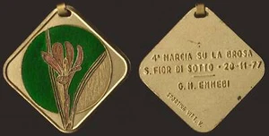 MEDAGLIA S.FIOR DI SOTTO - 4° MARCIA SU LA BROSA 1977 (TREVISO) - Picture 1 of 1