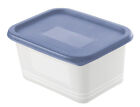 Rotho Gefrierdosen-Set Domino 4 x 0,75 L blau Frischhaltedose Kühlschrankdose
