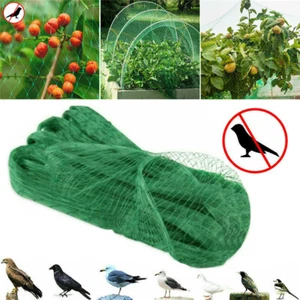 Anti Vogelschutznetz Netz Pflanzen Veg Früchte Schutz Garten Mesh Netzabdeckung - Bild 1 von 20