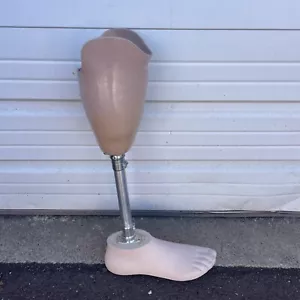 Prosthetic Leg Right Below Knee Bulldog Made In U.S.A. Foot Size 33 - Picture 1 of 10