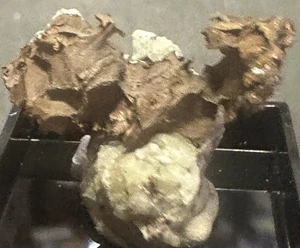 Crystallized Copper On Prehnite - Iroquois Mine, Keweenaw, Michigan  - Picture 1 of 5