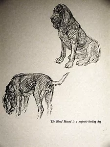 Barker Blood Hound nariz a tierra 1938 arte para perro mate - Imagen 1 de 4