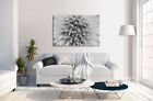 Gray Dandelion Seeds Monochrome Canvas Print Wall Art Picture Home Decoration