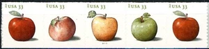 AMERICAN APPLES PNC5 MNH PL S11111 Scott's 4731 4732 4733 4734 or 4734A ~ - Picture 1 of 2