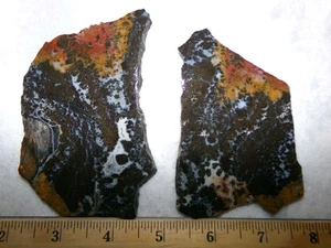 WEBERockin: losas de ágata pluma de río canadiense multicolor raras, Texas - Imagen 1 de 10