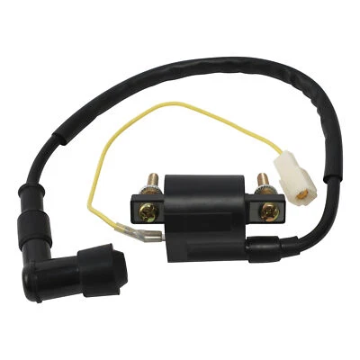 Bobina de encendido apta para Yamaha PW50 1986-1987 1990-2009 PW80 1983-2006 2005 04 03 Foto 1 de 4