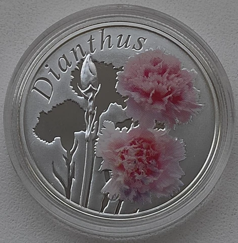 Belarus 2013, THE CARNATION (DIANTHUS). Beauty of Flowers, Silver, Coloured Cover
