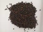 Poivre noir grain de Madagascar 1kg Agriculture durable
