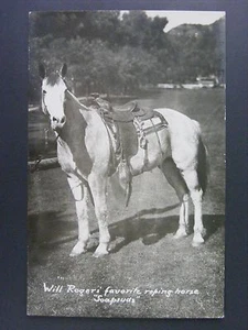 Will Rogers Favorite Roping Horse Soapsuds Real Photo Postcard RPPC 1930-50 Vtg - Picture 1 of 1