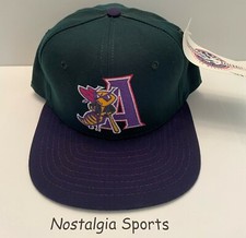 Vintage MiLB AUGUSTA GREENJACKETS Minor League Baseball NEW ERA SnapBack HAT NWT