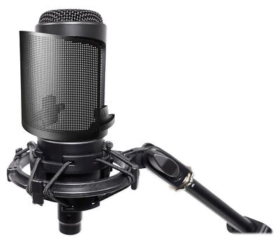 Audio Technica AT2050 Studio Condenser Recording Microphone+Mic Pop Filter - Image 1 of 4