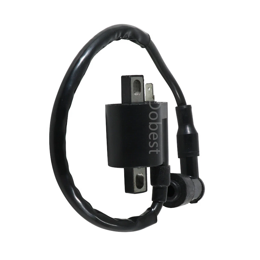 Bobina de encendido para Yamaha TW200 TTR110 TTR125 TW125 YZ80 TTR90 TTR125LWE TTR125R Foto 1 de 4
