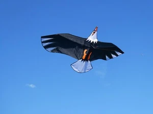 Drachen Flugdrachen Einleiner Adler 190cm - Bild 1 von 4