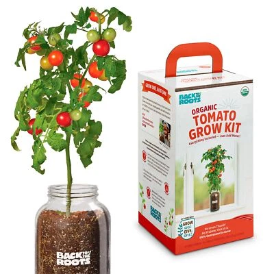 Self-Watering Tomato Planter Organic Cherry Tomatoes Indoor Garden Kit - Image 1 of 4