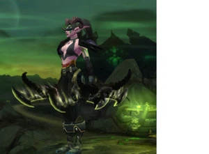WoW Account | 2 x Lvl 80 | 24000 Erfolgspunkte | Gladiator, Arenameister Titel - Bild 1 von 1