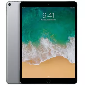 Apple iPad Pro (1st Gen) 64GB WiFi + Cellular 10.5" (2017) Space Gray - Picture 1 of 7