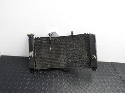 98 99 HONDA CBR 900RR CBR 900 OEM FACTORY RADIATOR GOOD 19040-MAS-E01 - Image 1 of 4