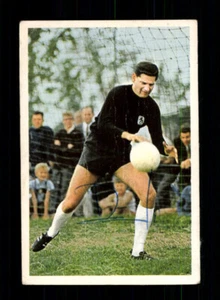 Petar Radenkovic TSV 1860 München Bergmann Sammelbild 1965-66 + A 239685 - Picture 1 of 2