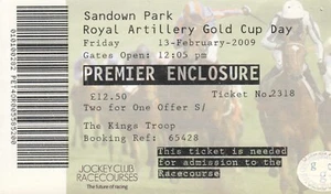 Ticket - Sandown Park 13.02.2009 Gold Cup Day - Picture 1 of 1