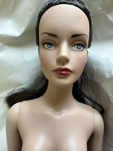 "Muñeca de moda Tonner Tyler Wentworth desnuda RTW LISTA PARA USAR SHIMMER SYDNEY 16""" - Imagen 1 de 22