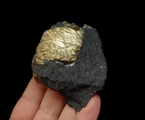 PYRITE big crystal & rare locality ---- FINLAND - Lapland - Kemi Mine /pj782 - Picture 1 of 10