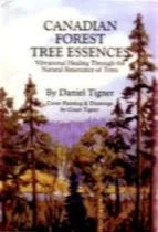 Canadian Forest Tree Essences - Vibrational Healing Through the Natural Reso... Foto 1 de 1