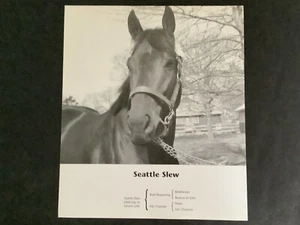 SEATTLE SLEW 7 clippings Horse Racing 1977 Triple Crown - Picture 1 of 7