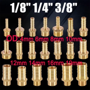 BSP Brass 1/8" 1/4" 3/8" Male Thread Pipe Fitting x Barb Hose Tail End Connector - Picture 1 of 27