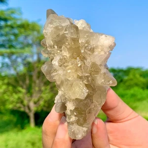 206G Natural Citrino Humo Color Cuarzo Racimo Cristal Muestras Mineral Heal - Imagen 1 de 24