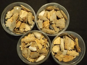 8 lbs South Carolina Prehistoric Indian Arrowheads Tools Artifacts FREE SHIPPING - Picture 1 of 15