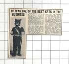 1957 Mr John William Broadhurst, Best Pantomime Cat In The Business, Brighton