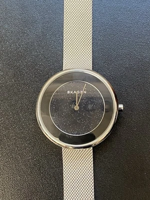 Skagen Gitte SKW1070 Womens Watch  38mm Sparkle Dial Silver Stainless Steel Foto 1 de 4