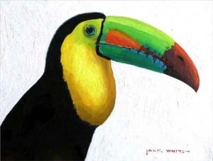 Toucan Vogel Akzent & Dekor Fliesenheber weiß tropische Kunst JWA033AT - Bild 1 von 4