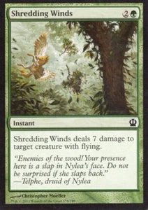 2X SHREDDING WINDS 178/249 THEROS MTG MAGIC LP X2 - Foto 1 di 1