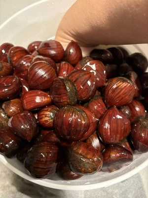 Castañas italianas Morrani 2025 1 lb comer y plantar 🌰 🦌🦃🌳🇺🇸 Foto 1 de 4