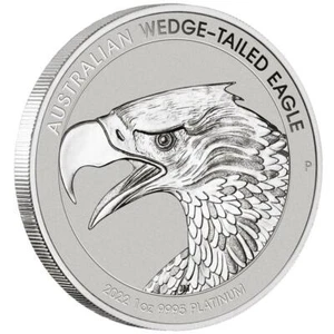 Platinmünze Wedge-Tailed Eagle 2022 - Australien - im Etui - 1 Oz RP - Bild 1 von 5