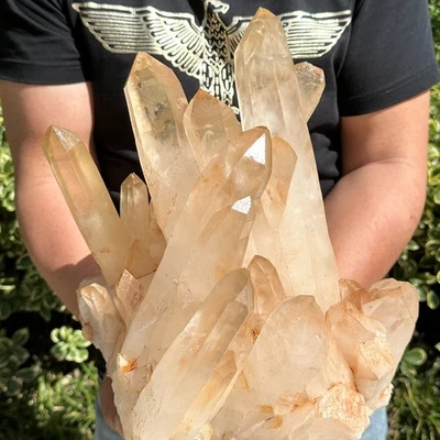 31LB  Large Natural Clear White Quartz Crystal Cluster Rough Healing Specimen - Image 1 of 4